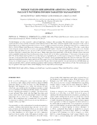 Wedge-Tailed Shearwater Ardenna Pacifica Fallout Patterns Inform Targeted Management