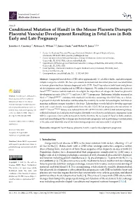 Conditional Mutation of Hand1 in the Mouse Placenta Disrupts Placental Vascular Development Resulting in Fetal Loss in Both Early and Late Pregnancy