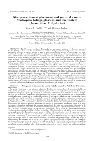 Divergence in Nest Placement and Parental Care of Neotropical Foliage‐Gleaners and Treehunters (Furnariidae: Philydorini)