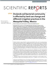 Drylands Soil Bacterial Community Is Affected by Land Use Change and Different Irrigation Practices in the Mezquital Valley