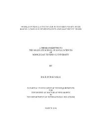 Models of Regulating Water in Transboundary River Basins: a Nexus of Hydropolitics and Electricity Trade