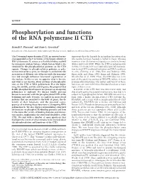 Phosphorylation and Functions of the RNA Polymerase II CTD
