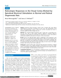 Retinotopic Responses in the Visual Cortex Elicited by Epiretinal Electrical Stimulation in Normal and Retinal Degenerate Rats