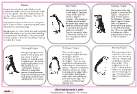 Classroomsecrets.Com