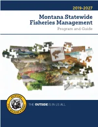 Montana Statewide Fisheries Management Program and Guide