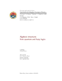 Algebraic Structures from Quantum and Fuzzy Logics