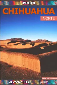 Chihuahua Norte
