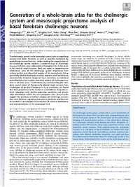 Generation of a Whole-Brain Atlas for the Cholinergic System and Mesoscopic Projectome Analysis of Basal Forebrain Cholinergic Neurons