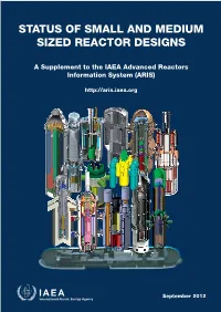 Status of Small and Medium Sized Reactor Designs