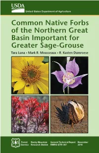 Common Native Forbs of the Northern Great Basin Important for Greater Sage-Grouse Tara Luna • Mark R