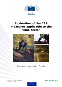 Evaluation of the CAP Measures Applicable to the Wine Sector
