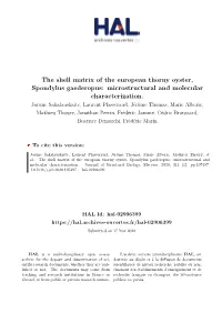 The Shell Matrix of the European Thorny Oyster, Spondylus Gaederopus: Microstructural and Molecular Characterization