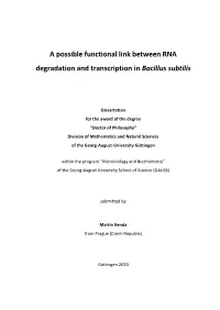 A Possible Functional Link Between RNA Degradation and Transcription in Bacillus Subtilis