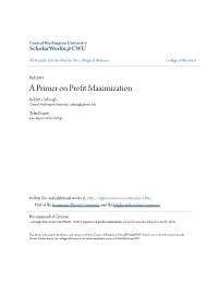 A Primer on Profit Maximization