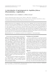 Platyhelminthes: Amphilinidea)