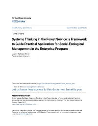 Systems Thinking in the Forest Service: a Framework to Guide Practical Application for Social-Ecological Management in the Enterprise Program