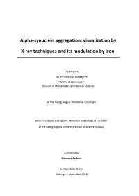 Alpha-Synuclein Aggregation: Visualization by X-Ray