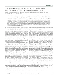 ARTICLE CGG-Repeat Expansion in the DIP2B Gene Is Associated with the Fragile Site FRA12A on Chromosome 12Q13.1