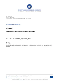 Assessment Report