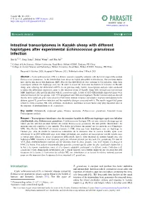 Intestinal Transcriptomes in Kazakh Sheep with Different Haplotypes After Experimental Echinococcus Granulosus Infection