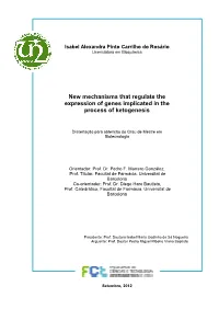 New Mechanisms That Regulate the Expression of Genes Implicated in the Process of Ketogenesis