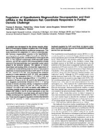 Regulation of Hypothalamic Magnocellular Neuropeptides and Their Mrnas in the Brattleboro Rat: Coordinate Responses to Further Osmotic Challenge
