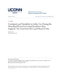 Continuity and Variability in Lithic Use During the Woodland Period In