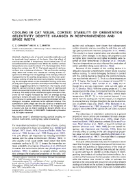 Cooling in Cat Visual Cortex: Stability of Orientation Selectivity Despite Changes in Responsiveness and Spike Width