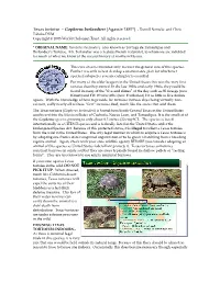 Texas Tortoise – Gopherus Berlandieri (Agassiz 1857*) - Darrell Senneke and Chris Tabaka DVM Copyright © 2003 World Chelonian Trust