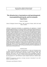 The Ultrastructure of Spermatozoa and Spermiogenesis in Pyramidellid Gastropods, and Its Systematic Importance John M