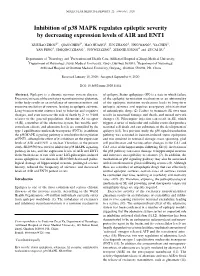 Inhibition of P38 MAPK Regulates Epileptic Severity by Decreasing Expression Levels of A1R and ENT1