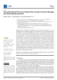 Neurobiological Processes Induced by Aerobic Exercise Through the Endocannabinoidome