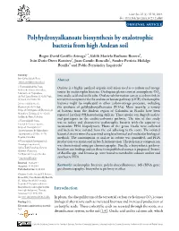 Polyhydroxyalkanoate Biosynthesis by Oxalotrophic Bacteria from High Andean Soil