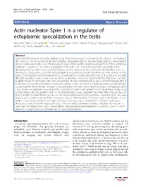 Actin Nucleator Spire 1 Is a Regulator of Ectoplasmic Specialization in the Testis Qing Wen1,Nanli1,Xiangxiao 1,2,Wing-Yeelui3, Darren S