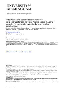 Structural and Biochemical Studies of Sulphotransferase 18 From
