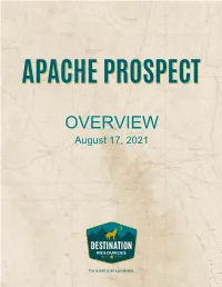 OVERVIEW August 17, 2021