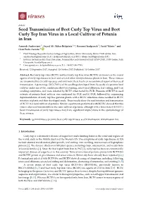 Seed Transmission of Beet Curly Top Virus and Beet Curly Top Iran Virus in a Local Cultivar of Petunia in Iran