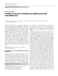 Predation on Barnacles of Intertidal and Subtidal Mussel Beds in the Wadden Sea