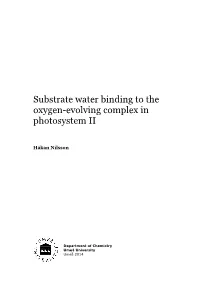 Substrate Water Binding to the Oxygen-Evolving Complex in Photosystem II