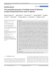 Admixture Zones in Uganda