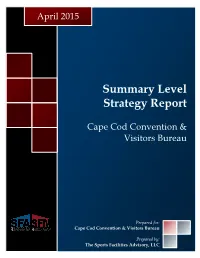 Summary Level Strategy Report
