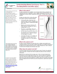 Understanding Spinal Cord Injury: Part 1—The Body Before and After
