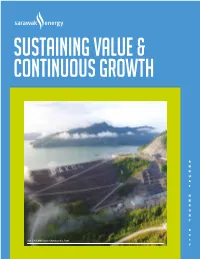 2017 Annual Report