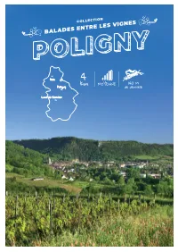 Balades Entre Les Vignes