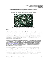 Ecology and Management of Field Bindweed (Convolvulus Arvensis
