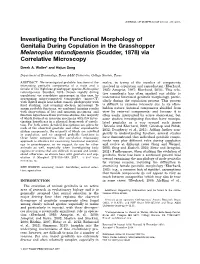 Investigating the Functional Morphology of Genitalia During Copulation in the Grasshopper Melanoplus Rotundipennis (Scudder, 1878) Via Correlative Microscopy