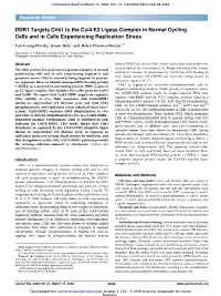 DDB1 Targets Chk1 to the Cul4 E3 Ligase Complex in Normal Cycling Cells and in Cells Experiencing Replication Stress
