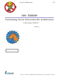 Msc THESIS Customizing Vector Instruction Set Architectures