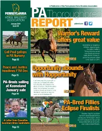 Thoroughbred Pabred.Com January 2019 Pabred.Com Issue 58 REPORT