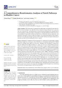 A Comprehensive Bioinformatics Analysis of Notch Pathways in Bladder Cancer